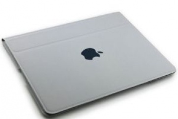 Apple iPad Case серый